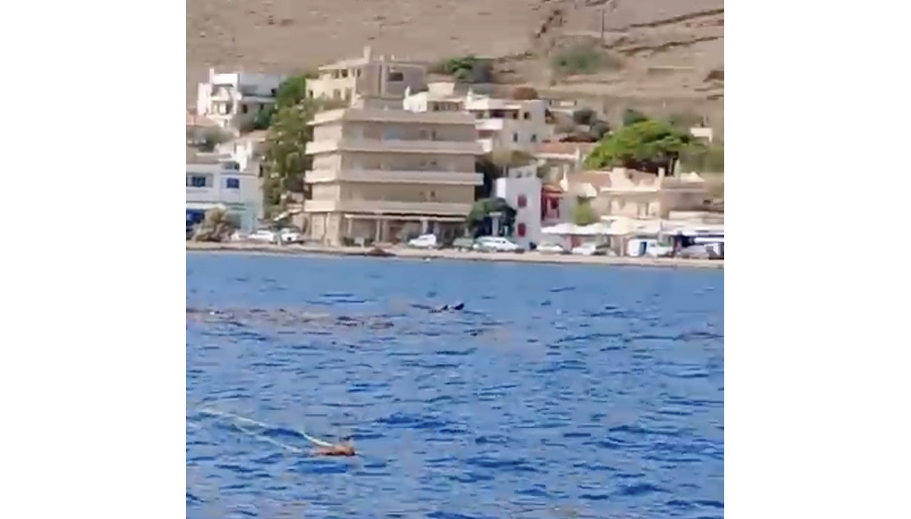 γέμισε-δέντρα-η-θάλασσα-σε-τζια-και-ε-562659163