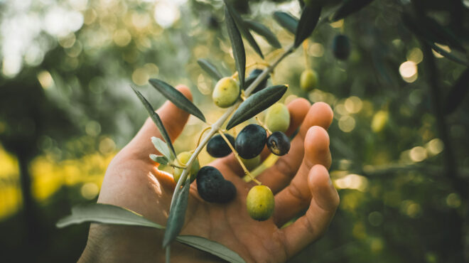 ισπανία-κλειδώνουν-τα-μπουκάλια-με-ελ-562657150