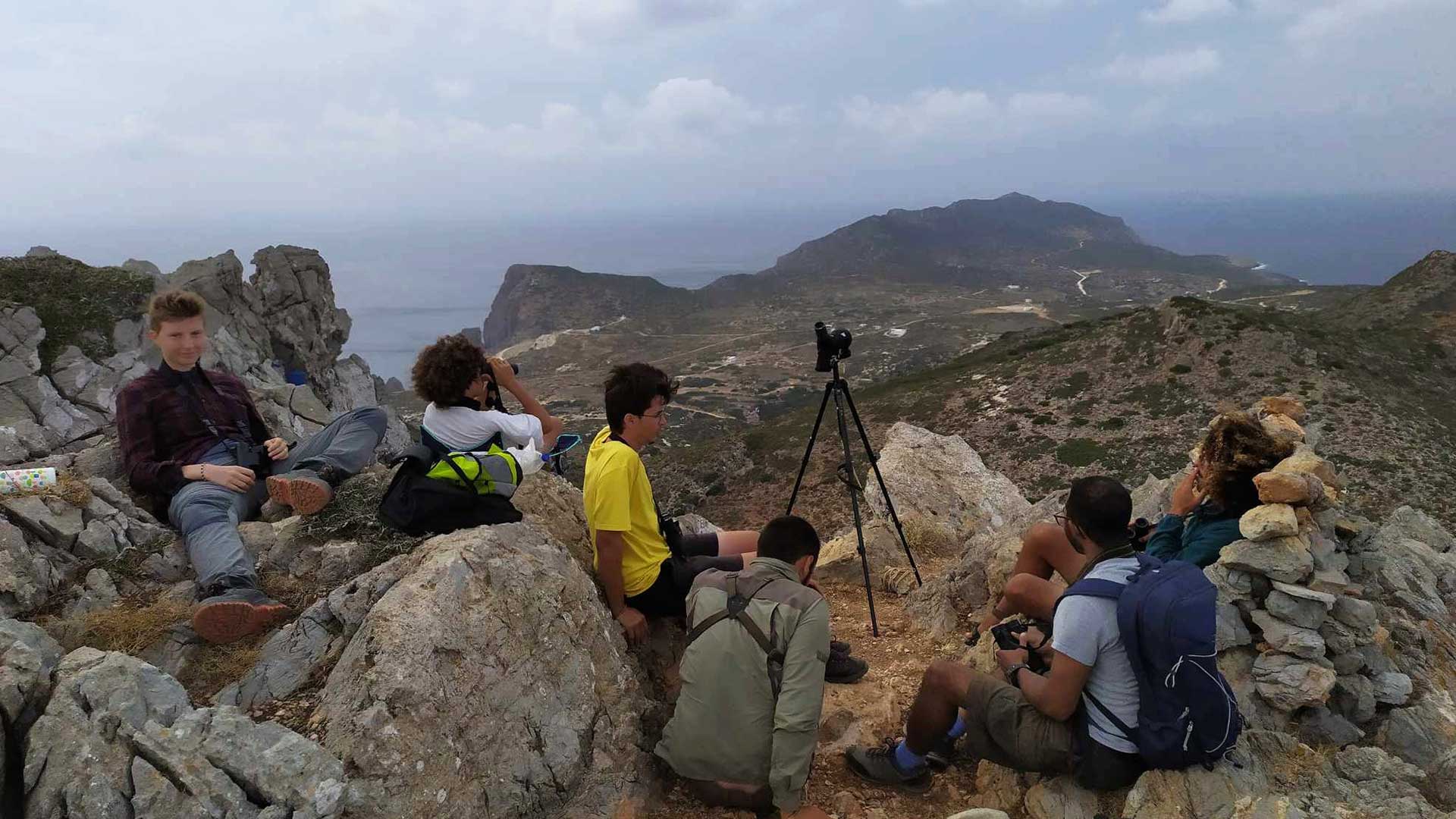 Σφηκιάρηδες και Τσίφτηδες έκαναν «πάρτι» στα Αντικύθηρα-3