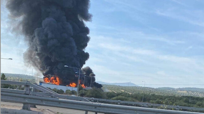 εύβοια-μεγάλη-πυρκαγιά-σε-εργοστάσιο-562690438