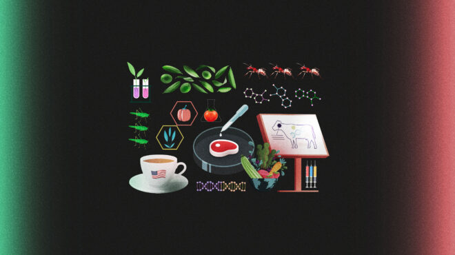 κρέας-κυτταροκαλλιέργειας-και-άλευρ-562682038