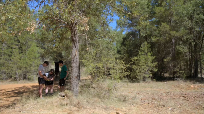 ισπανία-ενα-πρόγραμμα-erasmus-για-την-ενδυνά-562677004