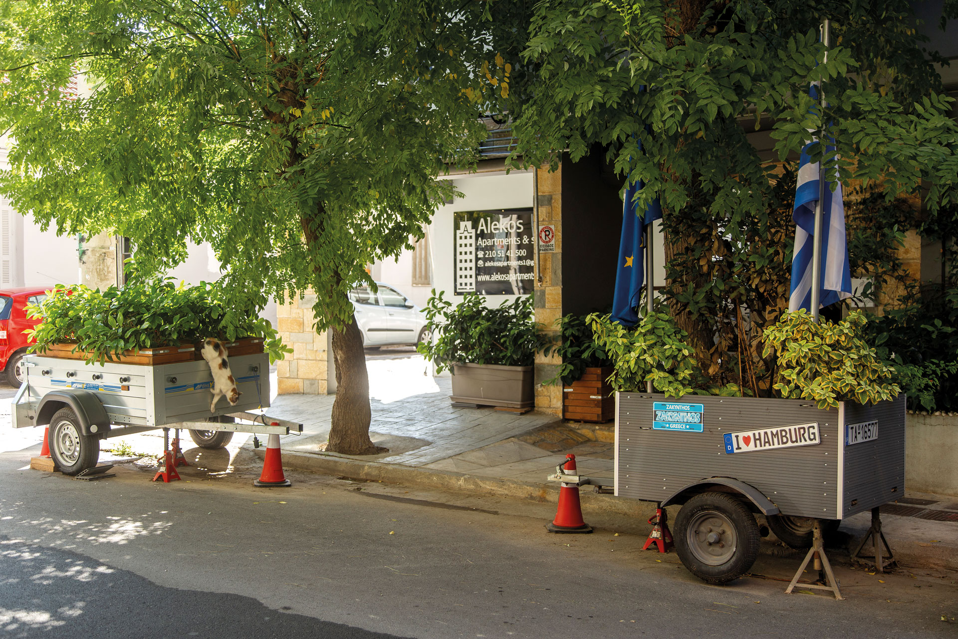 Yπάρχουν όντως σπίτια με φθηνά ενοίκια στον Κολωνό;-8