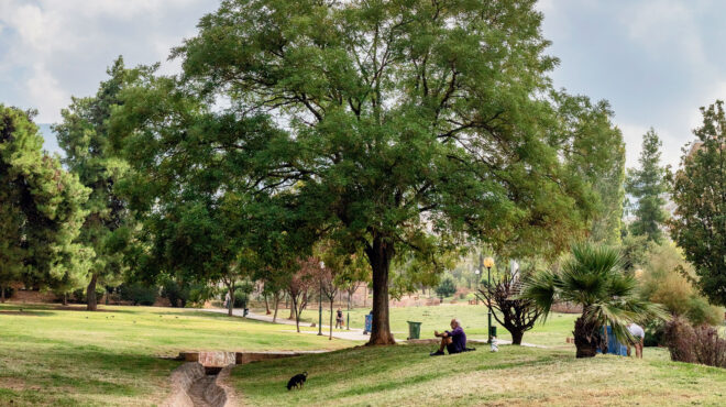 στην-καισαριανή-οι-άνθρωποι-λένε-ακόμ-562665730