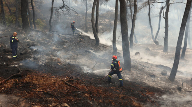 ολοένα-και-πιο-γόνιμο-το-έδαφος-για-πυρ-562692517