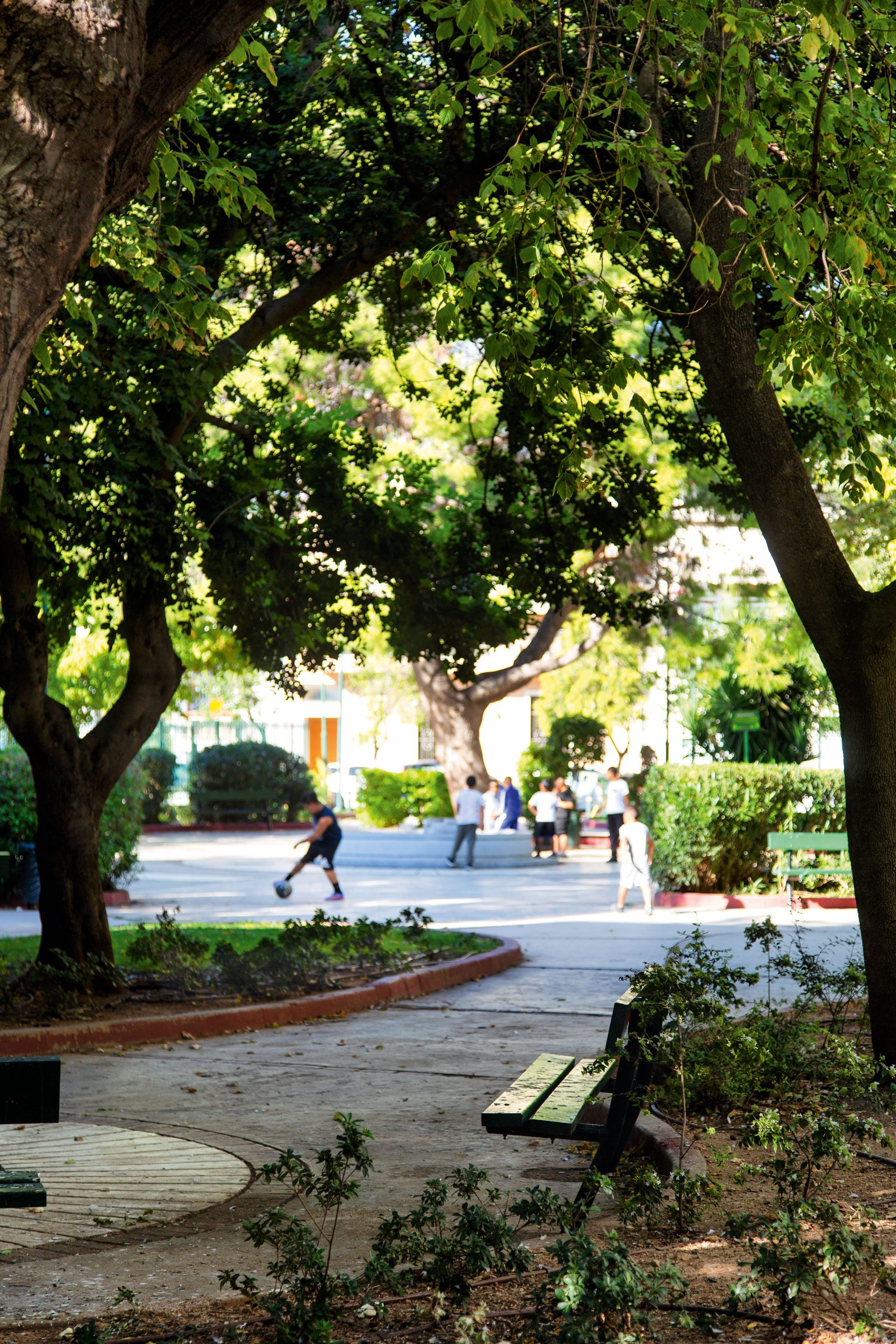 Yπάρχουν όντως σπίτια με φθηνά ενοίκια στον Κολωνό;-6