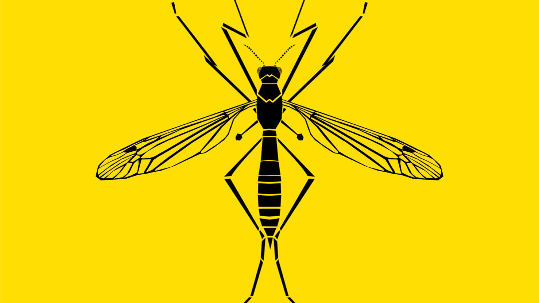 χάνουμε-τον-πόλεμο-με-τα-κουνούπια-562652731