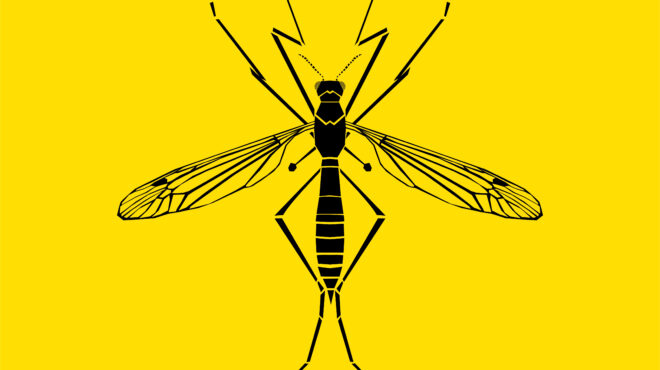 χάνουμε-τον-πόλεμο-με-τα-κουνούπια-562652731