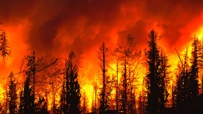 πυρκαγιά-στην-τενερίφη-3-000-άνθρωποι-απ-562653217