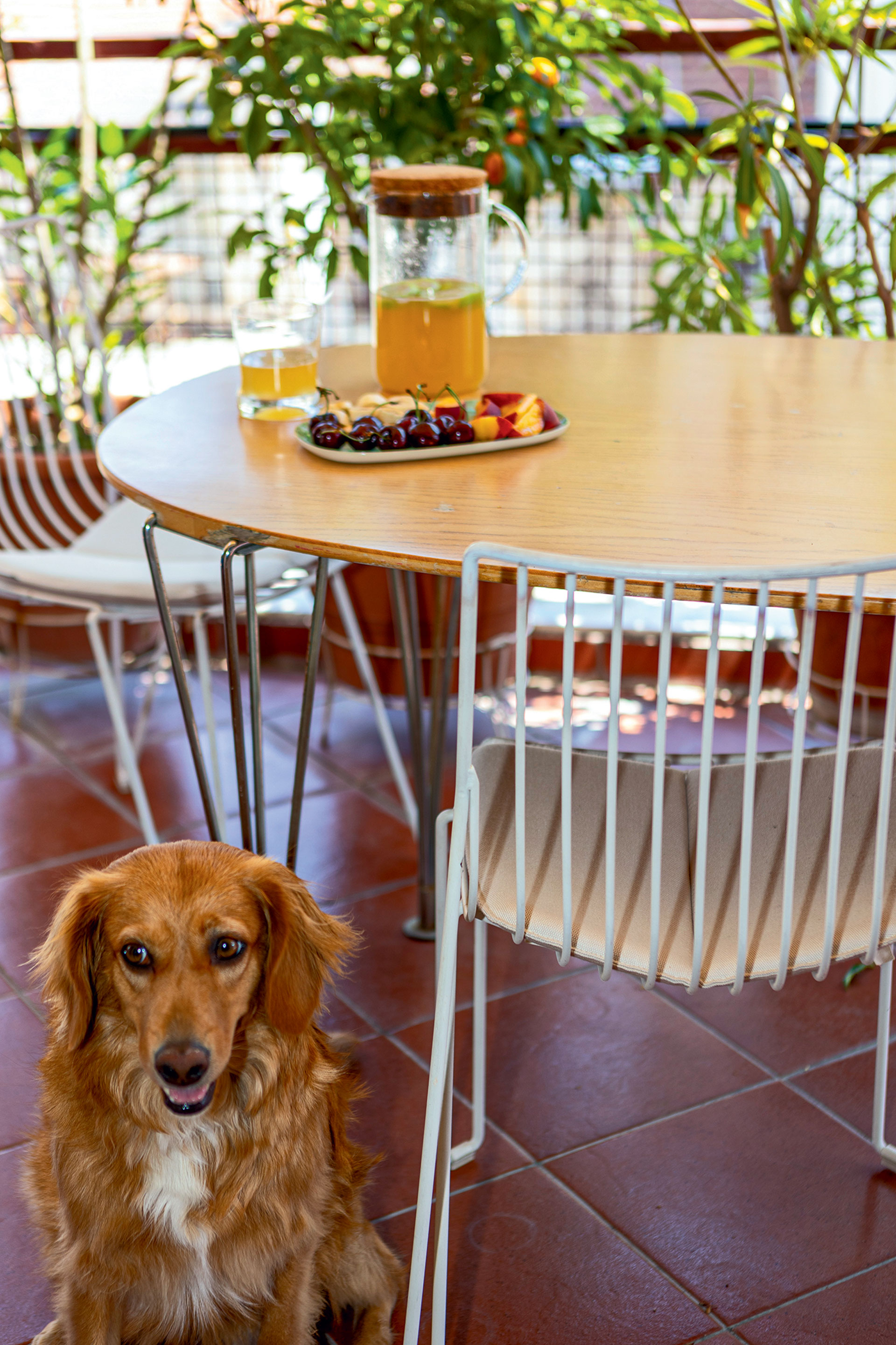 Μy Space: Σκανδιναβικό στιλ και βιβλία σε ένα διαμέρισμα στο Παγκράτι-3