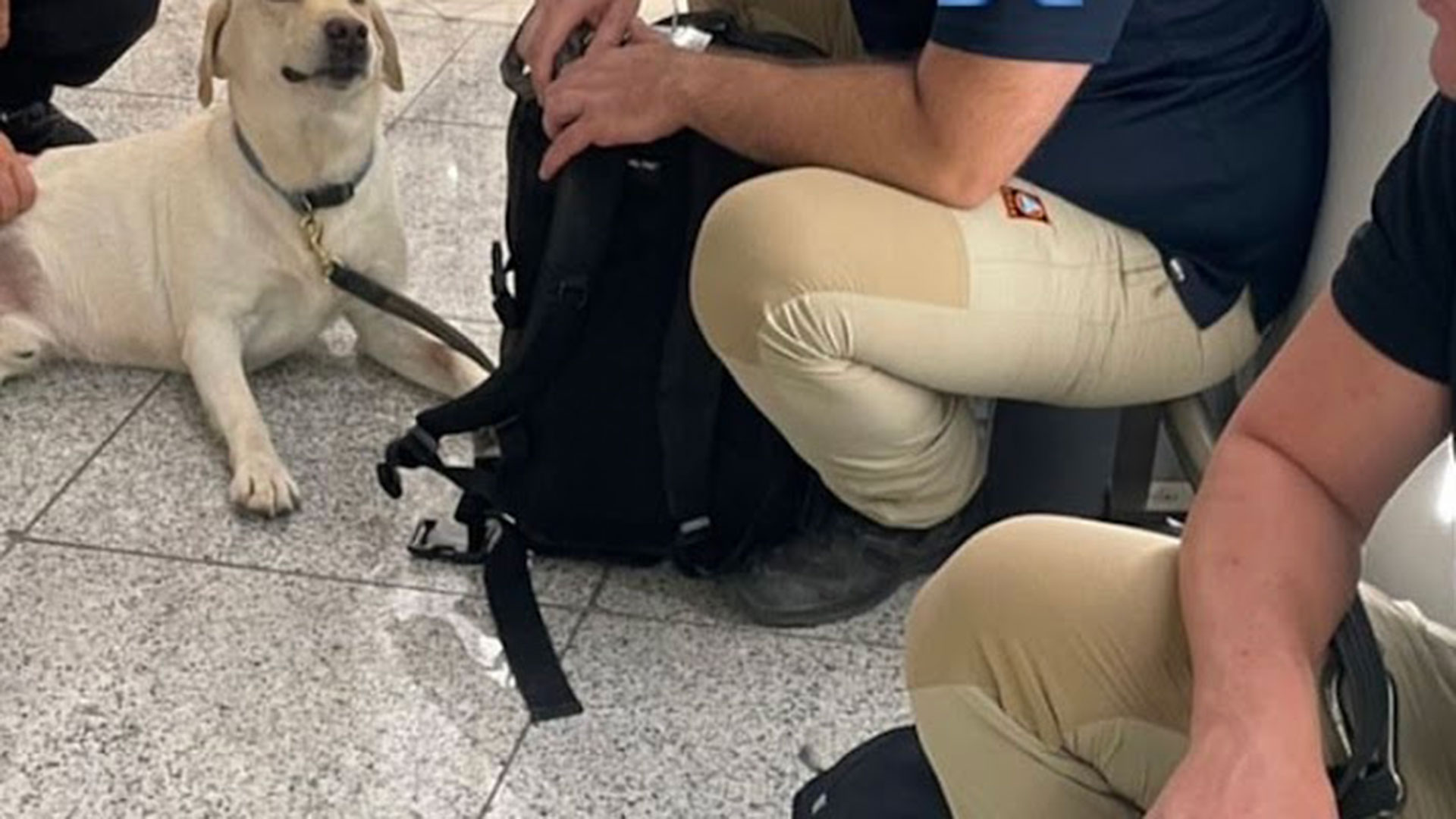 «Αύριο το βράδυ φεύγω, με καλεί το καθήκον»