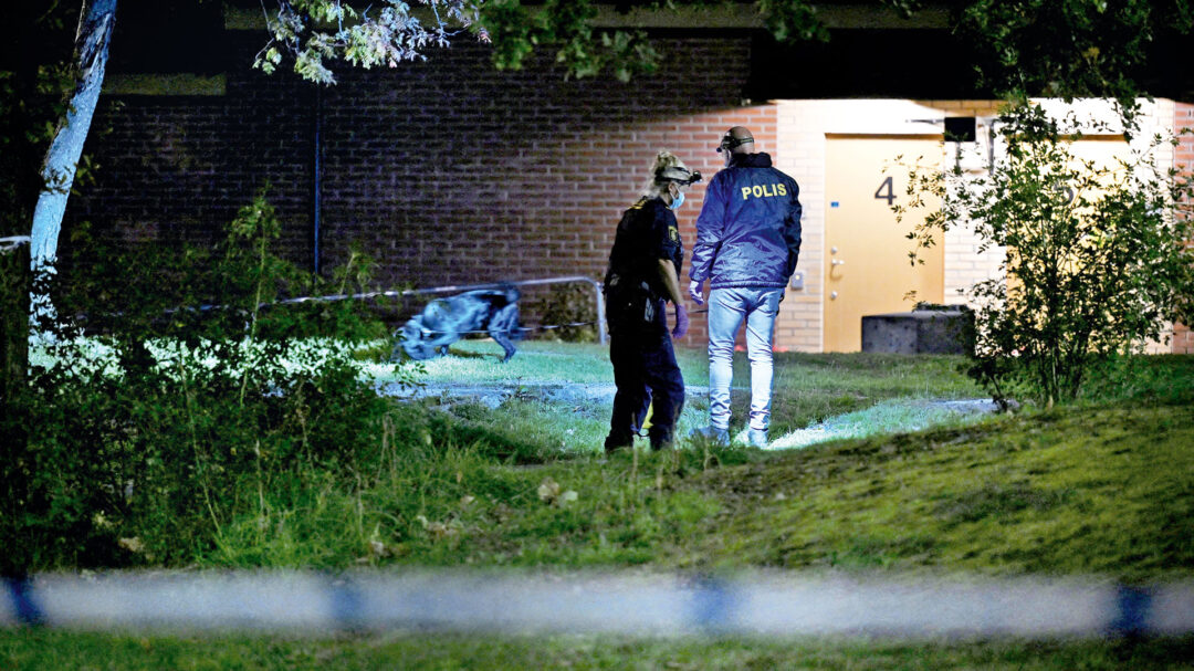 ο-ελληνας-και-ο-πόλεμος-συμμοριών-στη-σ-562659658