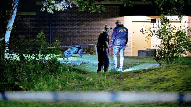 συνεργός-του-greken-συνελήφθη-στη-χαλκιδ-562659658