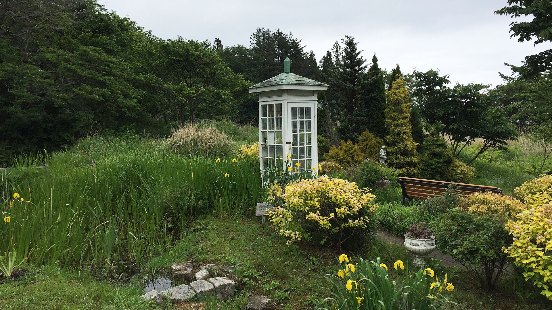 «Βάφτιζαν» το τσουνάμι με άλλες λέξεις – Το τραύμα μιας φυσικής καταστροφής-4