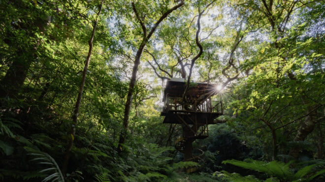 ενας-φάρος-που-κοιτάζει-τον-ήλιο-562727917