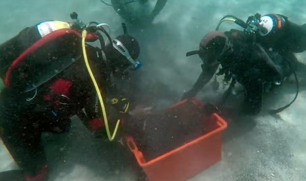 50-000-ρωμαϊκά-νομίσματα-περίμεναν-αιών-562712683