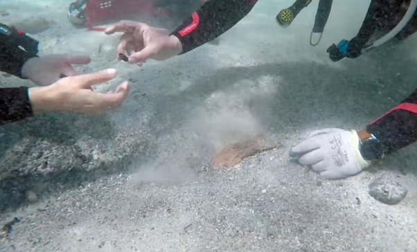 50.000 ρωμαϊκά νομίσματα «περίμεναν» αιώνες στις ακτές της Σαρδηνίας-2