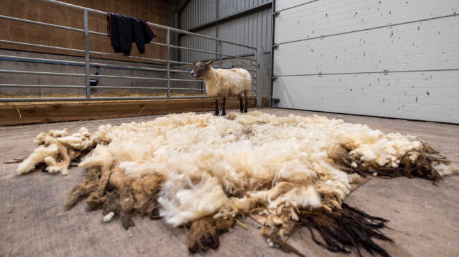 στο-εδώλιο-για-κλοπή-χρυσής-λεκάνης-αξ-562712137