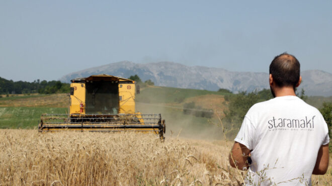 με-το-staramaki-πίνουμε-καφέ-στην-υγεία-της-φύσ-562747792