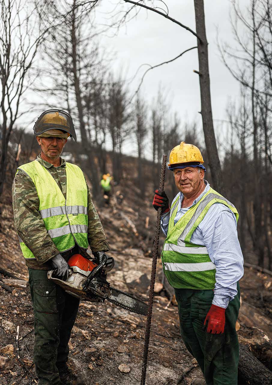 Η επόμενη μέρα της Δαδιάς, μετά την καταστροφή-4