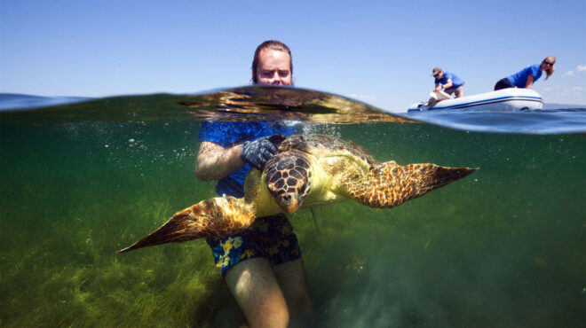 αρχελων-40-χρόνια-με-ένα-σκοπό-562747078