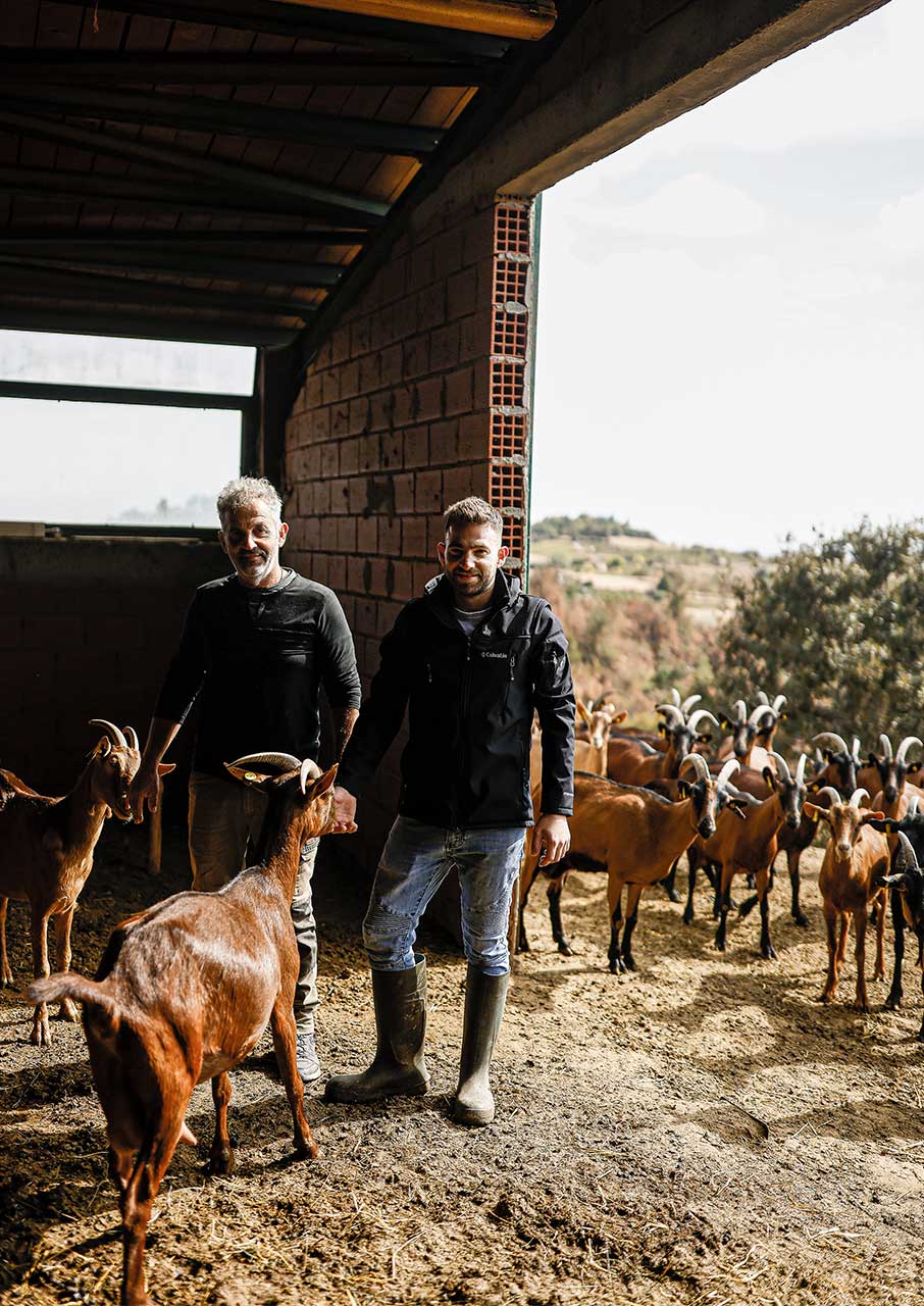 Η επόμενη μέρα της Δαδιάς, μετά την καταστροφή-2
