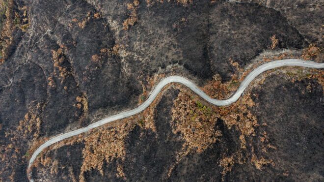 η-επόμενη-μέρα-της-δαδιάς-μετά-την-κατα-562751887