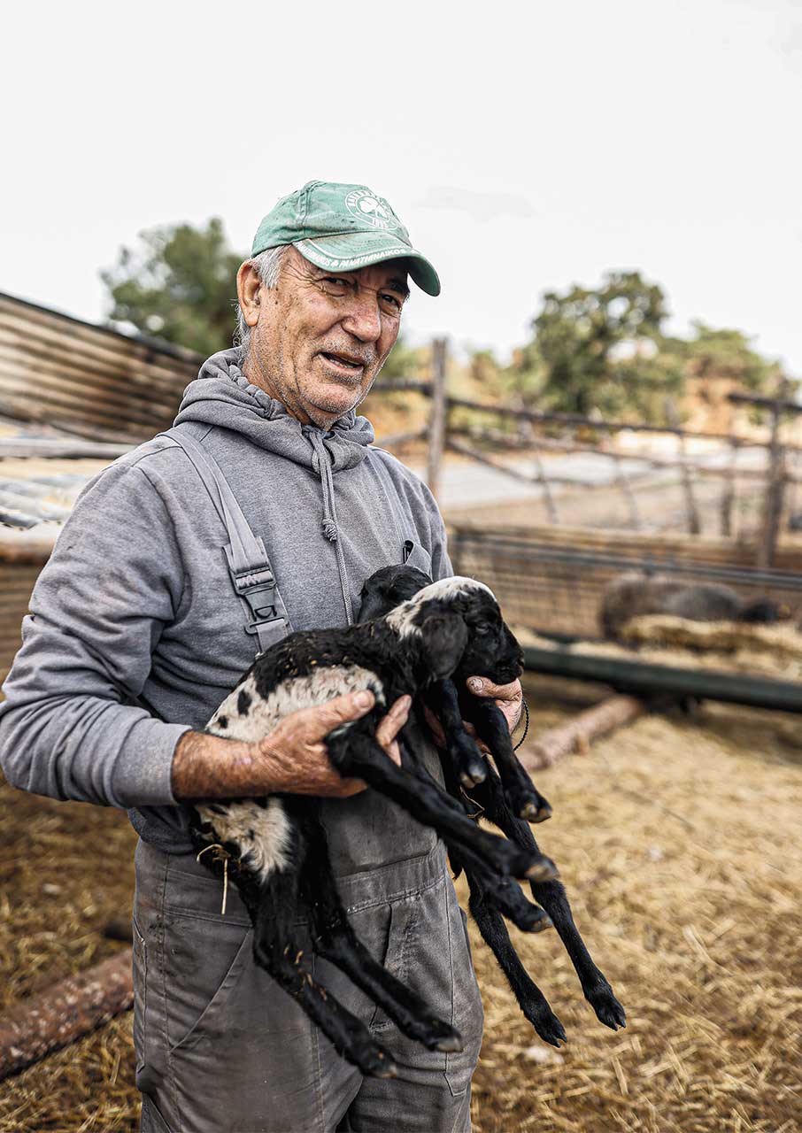 Η επόμενη μέρα της Δαδιάς, μετά την καταστροφή-6