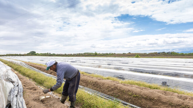 πινγκ-πονγκ-για-τα-μειωμένα-χρήματα-562703194