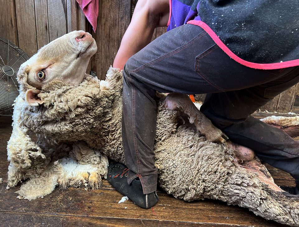 Ενα ευχαριστώ-3