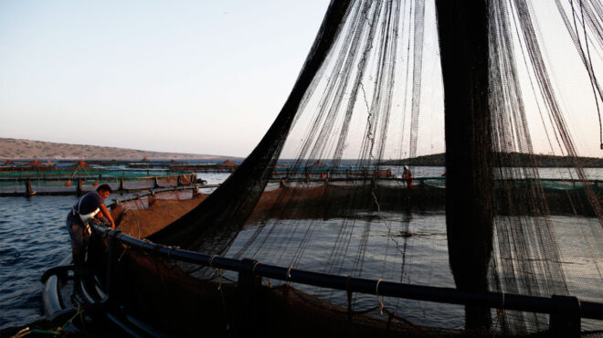 στάσιμος-ο-κλάδος-υδατοκαλλιέργειας-562742584