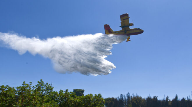 φωτιά-σε-δάσος-στο-νότιο-πήλιο-562712590