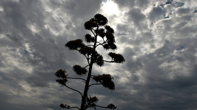 meteo-σημαντική-πτώση-της-θερμοκρασίας-τη-562717507