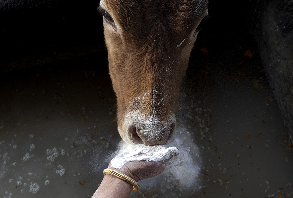 Παραδόσεις-1