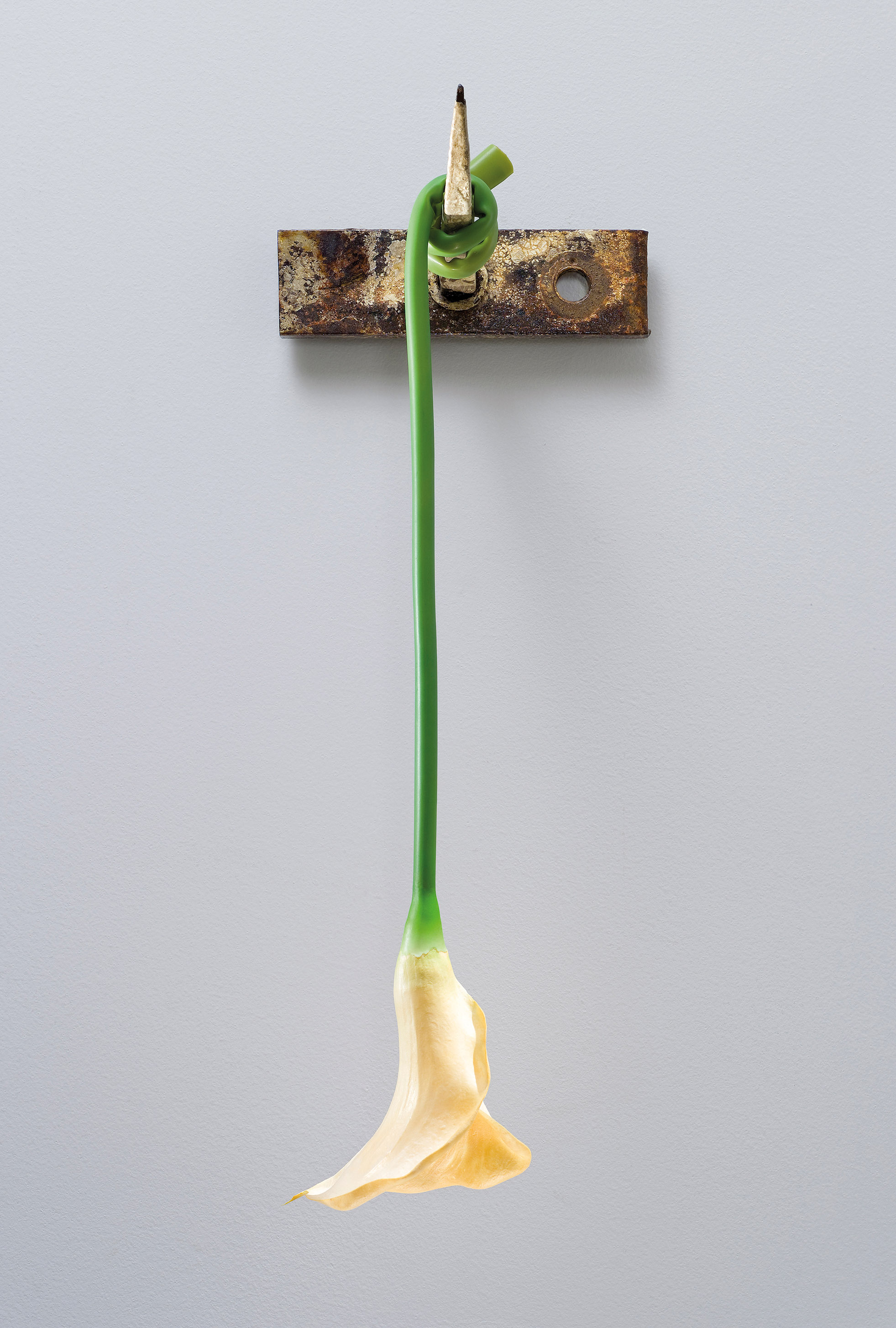 Τέχνη που βγάζει τη γλώσσα στον θάνατο-1