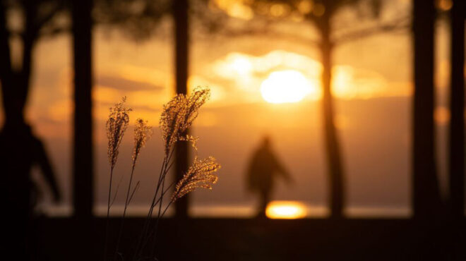 αρθρο-κώστα-φραγκογιάννη-στην-κ-cop28-562757143
