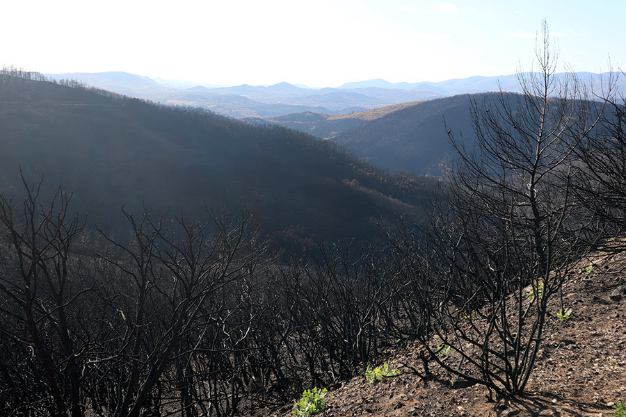 Πώς Μπορείς Να Σώσεις Τον Κόσμο;-3