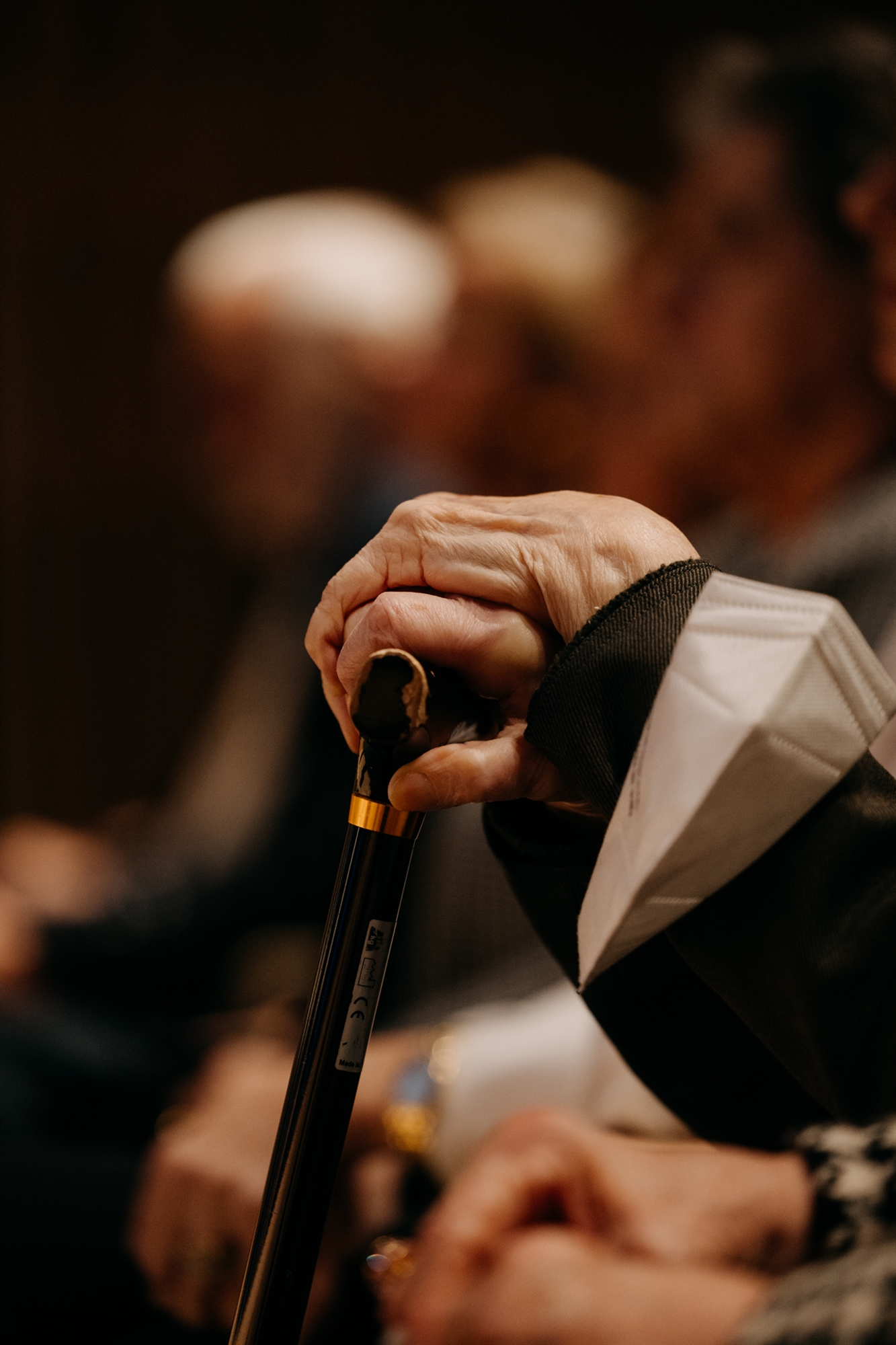 Το Μουσείο Γουλανδρή τίμησε την οικουμενική Ελληνίδα Ελένη Γλύκατζη-Αρβελέρ-3