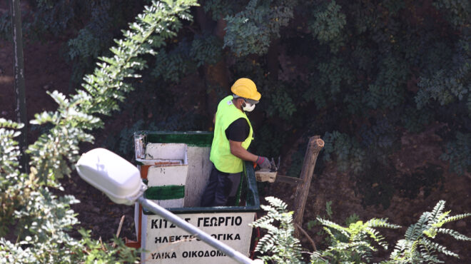 αττικό-μετρό-θα-μεταφυτευτούν-τα-δέντ-562712983