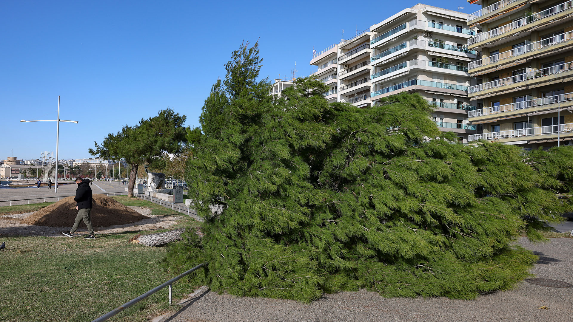 Θεσσαλονίκη: Πτώσεις δέντρων και ζημιές από τους θυελλώδεις ανέμους-7
