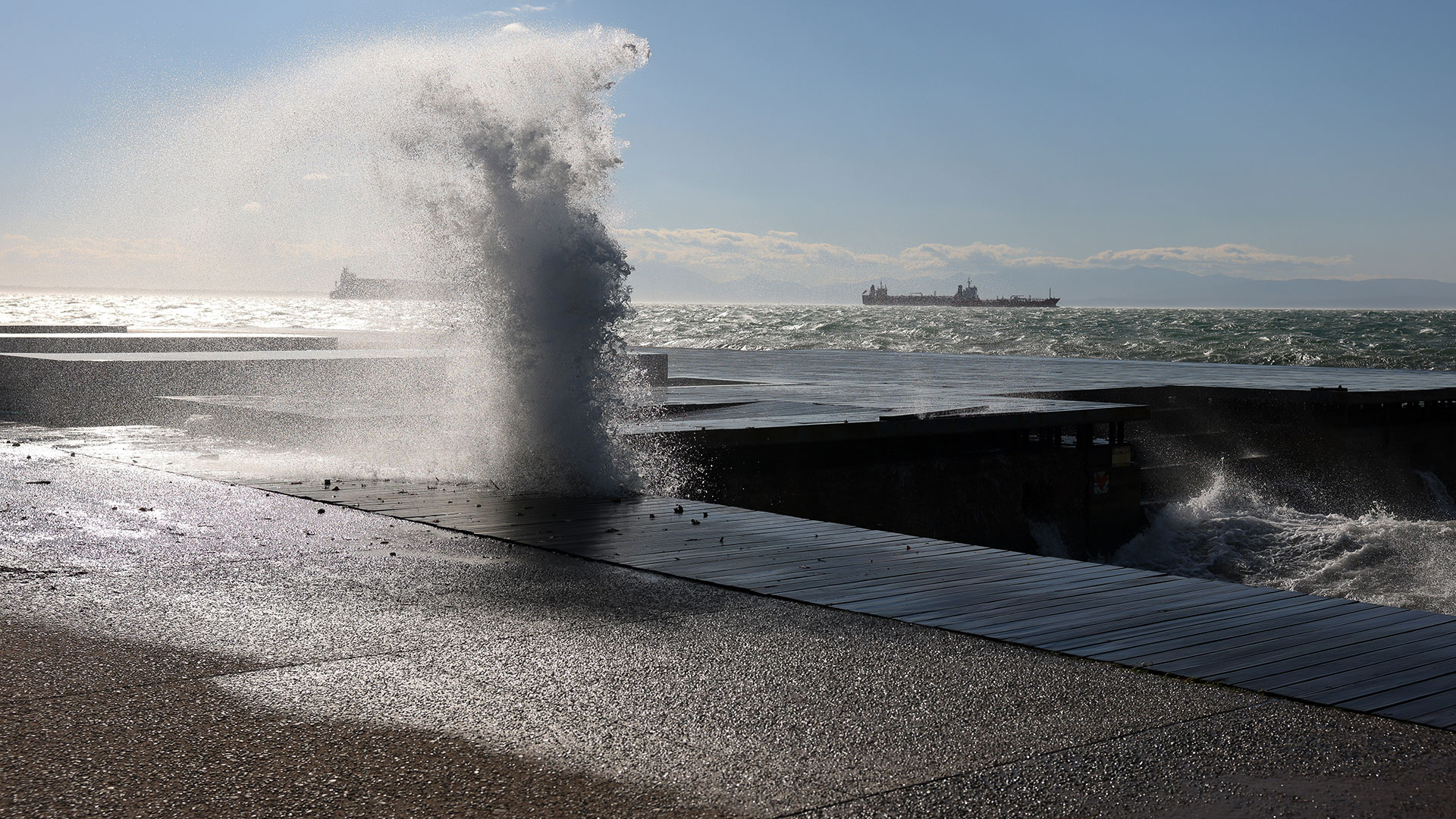 Θεσσαλονίκη: Πτώσεις δέντρων και ζημιές από τους θυελλώδεις ανέμους-4