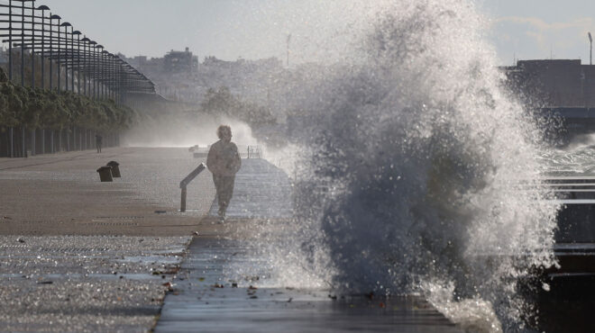θεσσαλονίκη-πτώσεις-δέντρων-και-ζημι-562737649