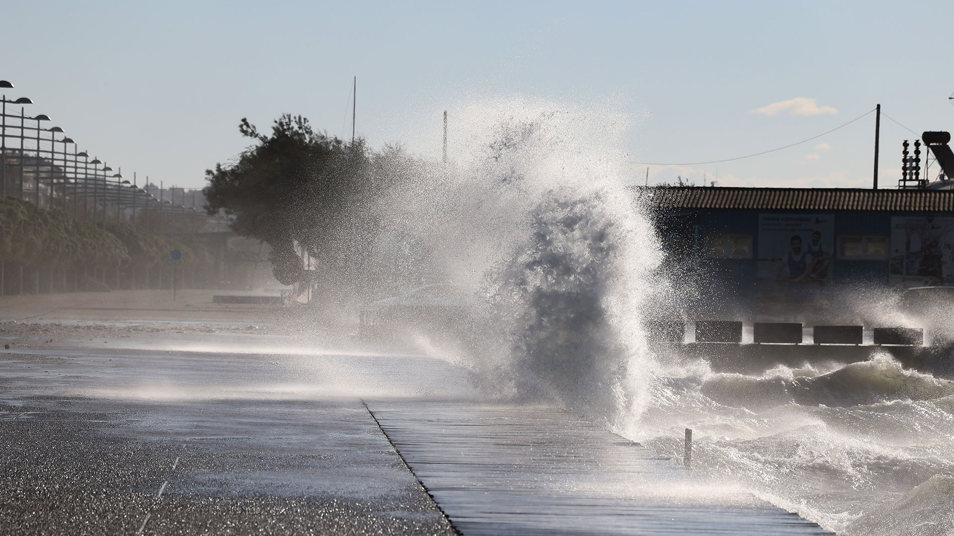 Θεσσαλονίκη: Πτώσεις δέντρων και ζημιές από τους θυελλώδεις ανέμους-3