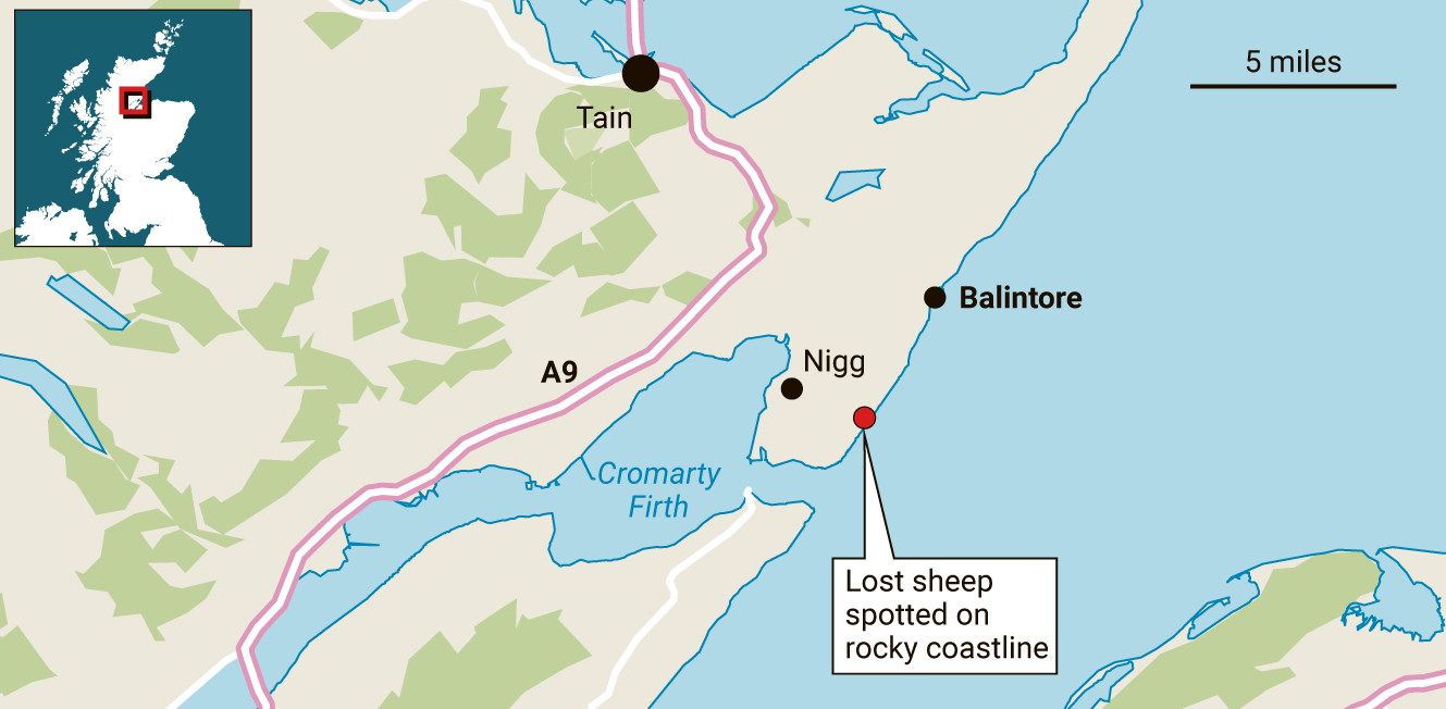 «Ειδική αποστολή» για το πιο μοναχικό πρόβατο της Βρετανίας-1