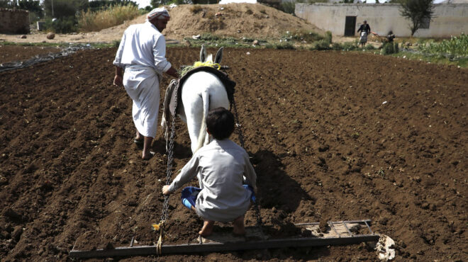επεξεργασμένα-τρόφιμα-που-κάνουν-καλ-562713862