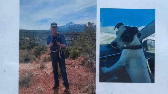 ηπα-σκύλος-βρέθηκε-ζωντανός-δίπλα-στο-562728994