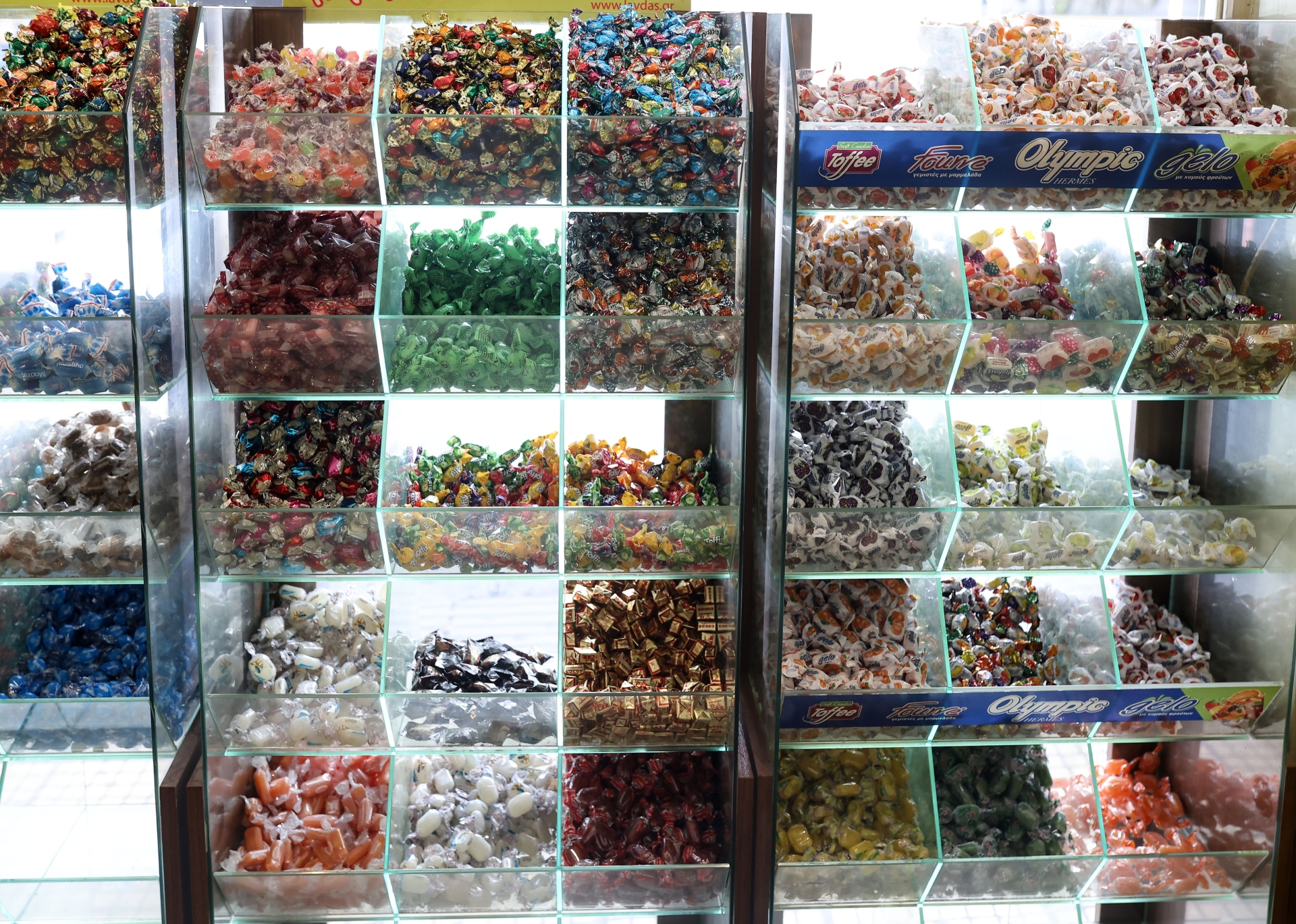 «Η Κυψέλη, ο κόσμος μας όλος»-10