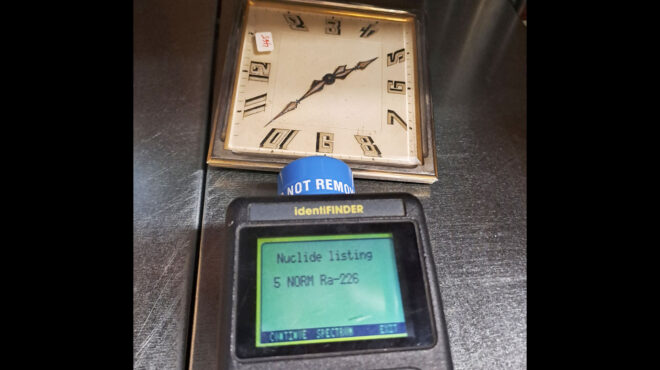 το-τατόι-ανθίζει-με-το-βλέμμα-στο-μέλ-562724338