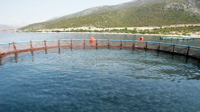 δάνειο-σωσίβιο-στην-avramar-562742536