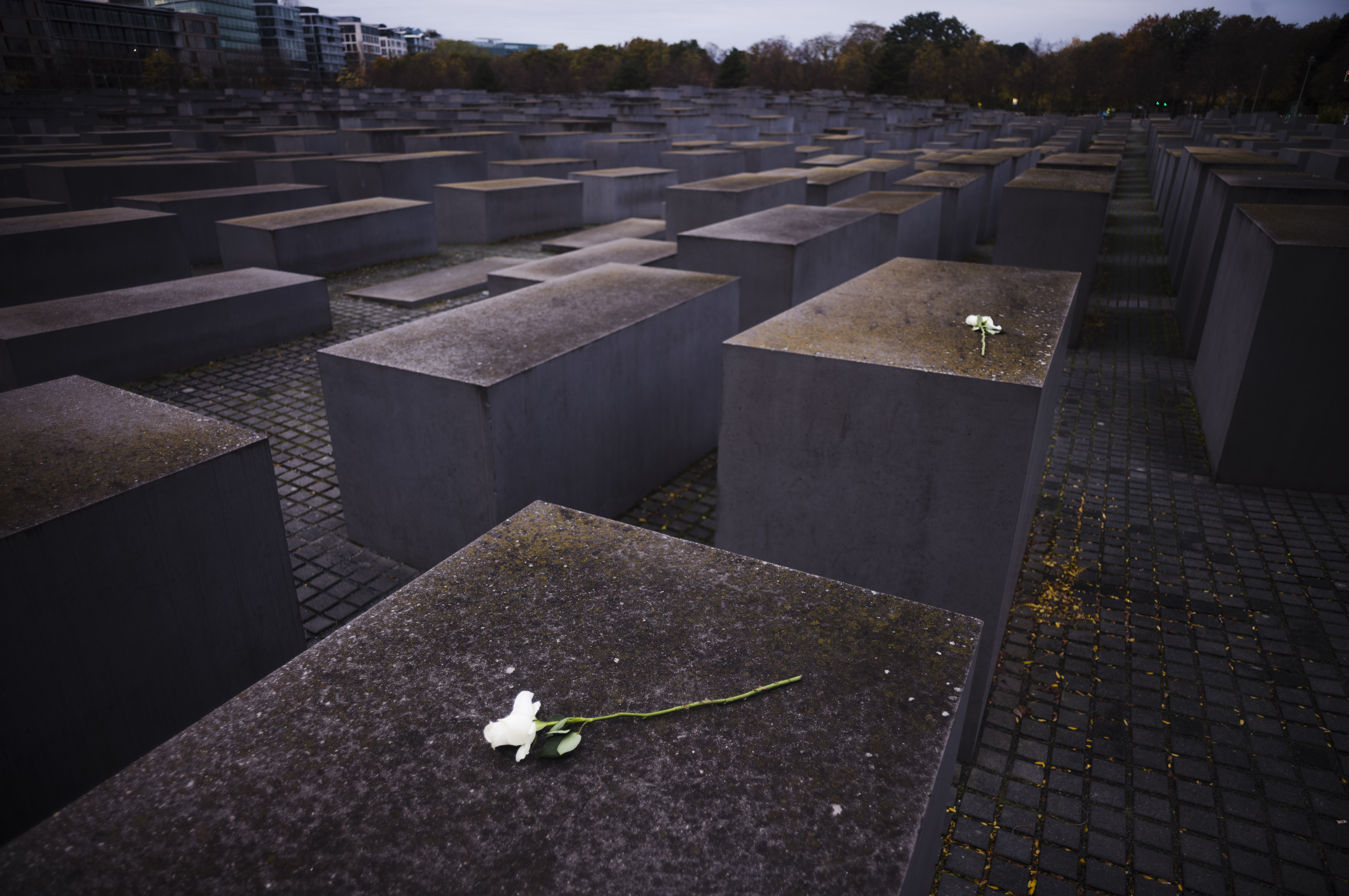 «Νύχτα των Κρυστάλλων»: Φόβοι για αντισημιτική βία ανήμερα της επετείου-3
